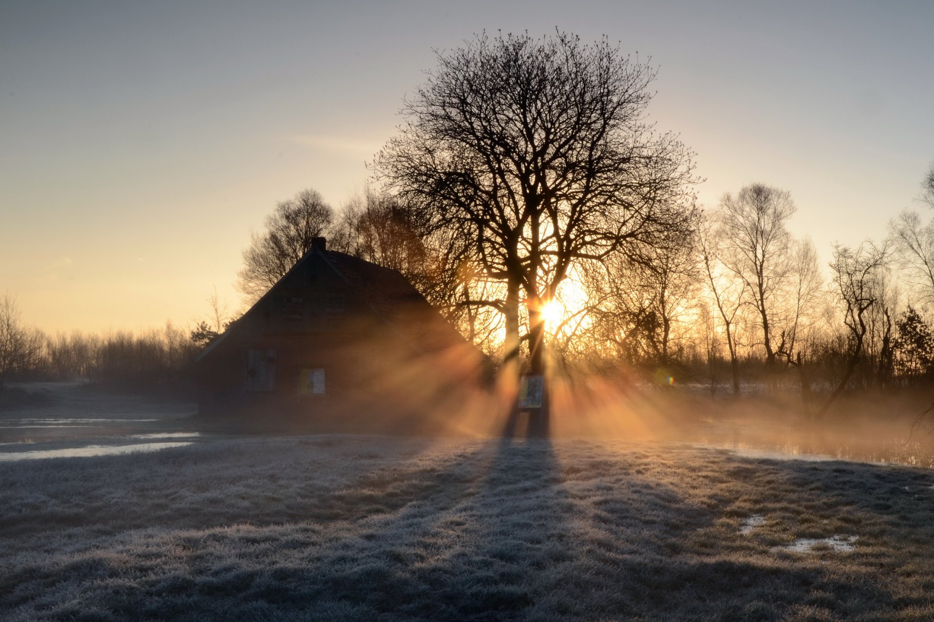 morning fog house