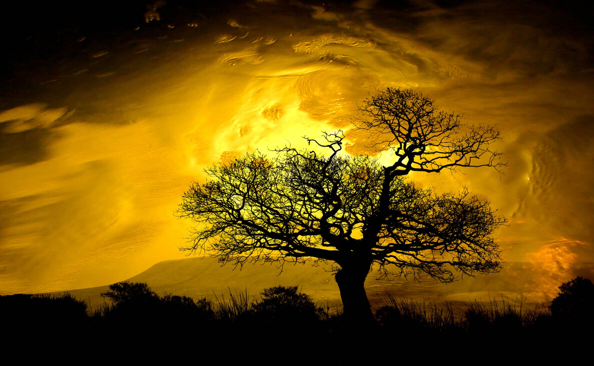 ky clouds glow mountain tree silhouette