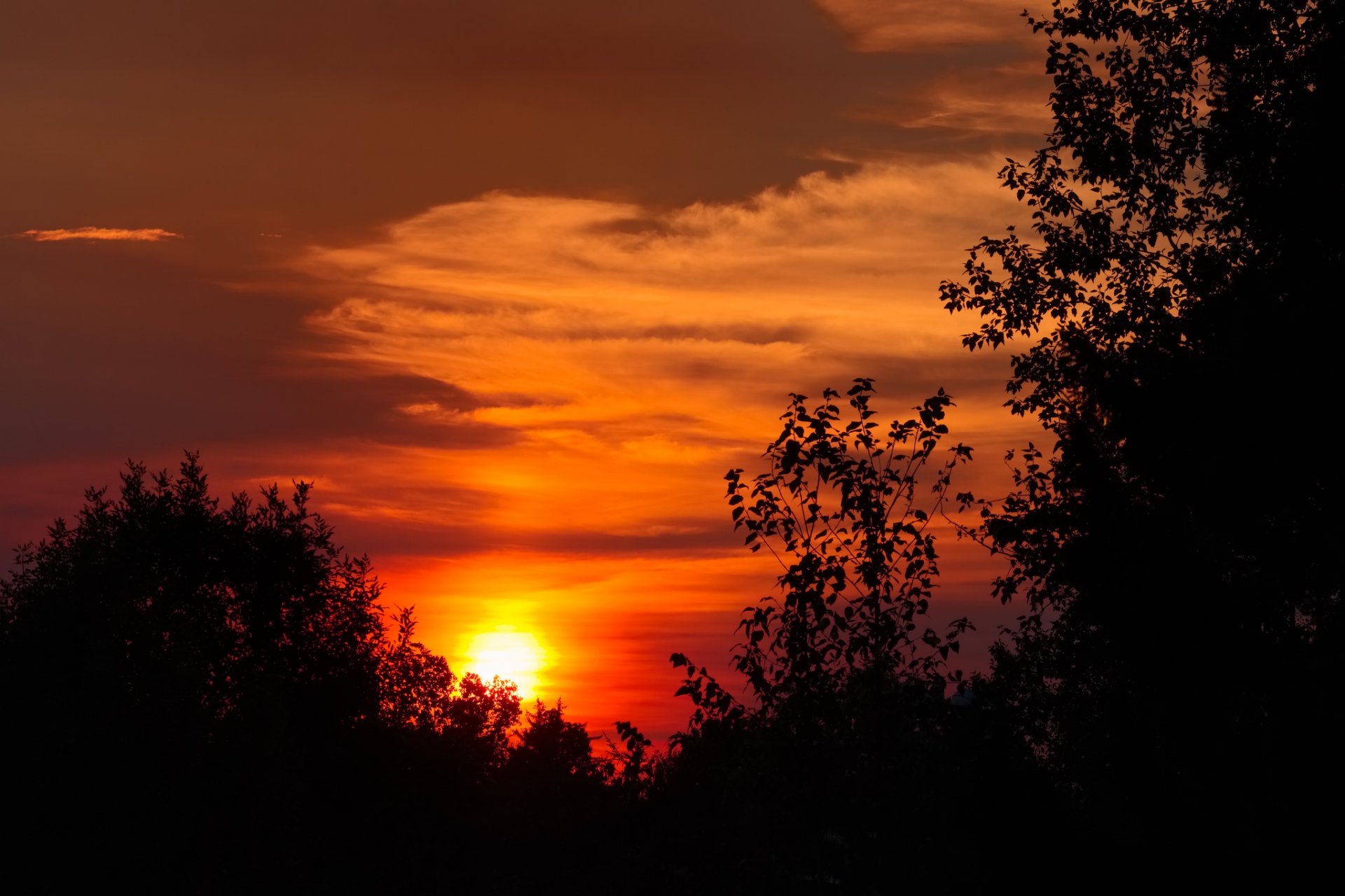 cielo nuvole sole tramonto bagliore alberi sagoma