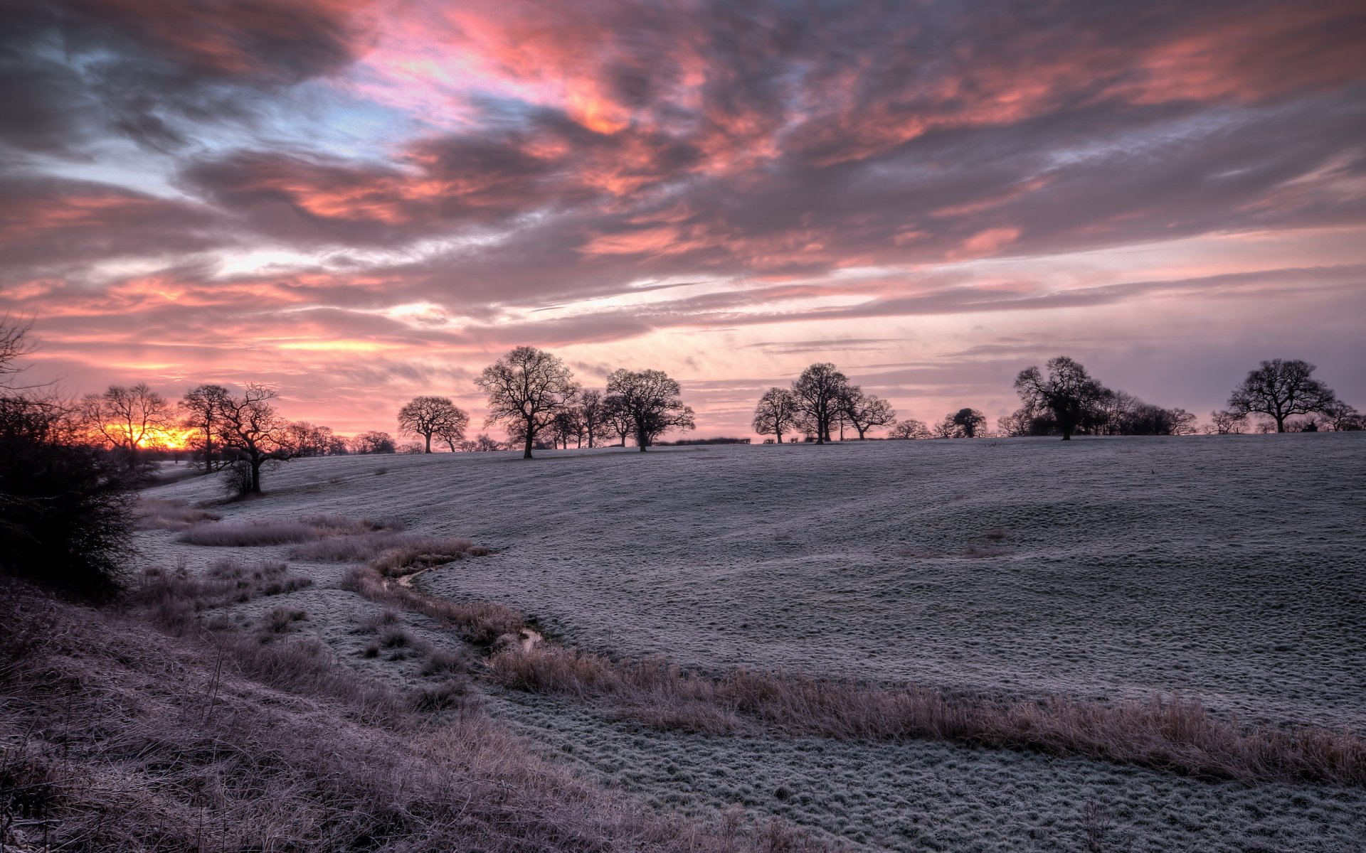 banbury hdr od mrozu pole drzewa sylwetka