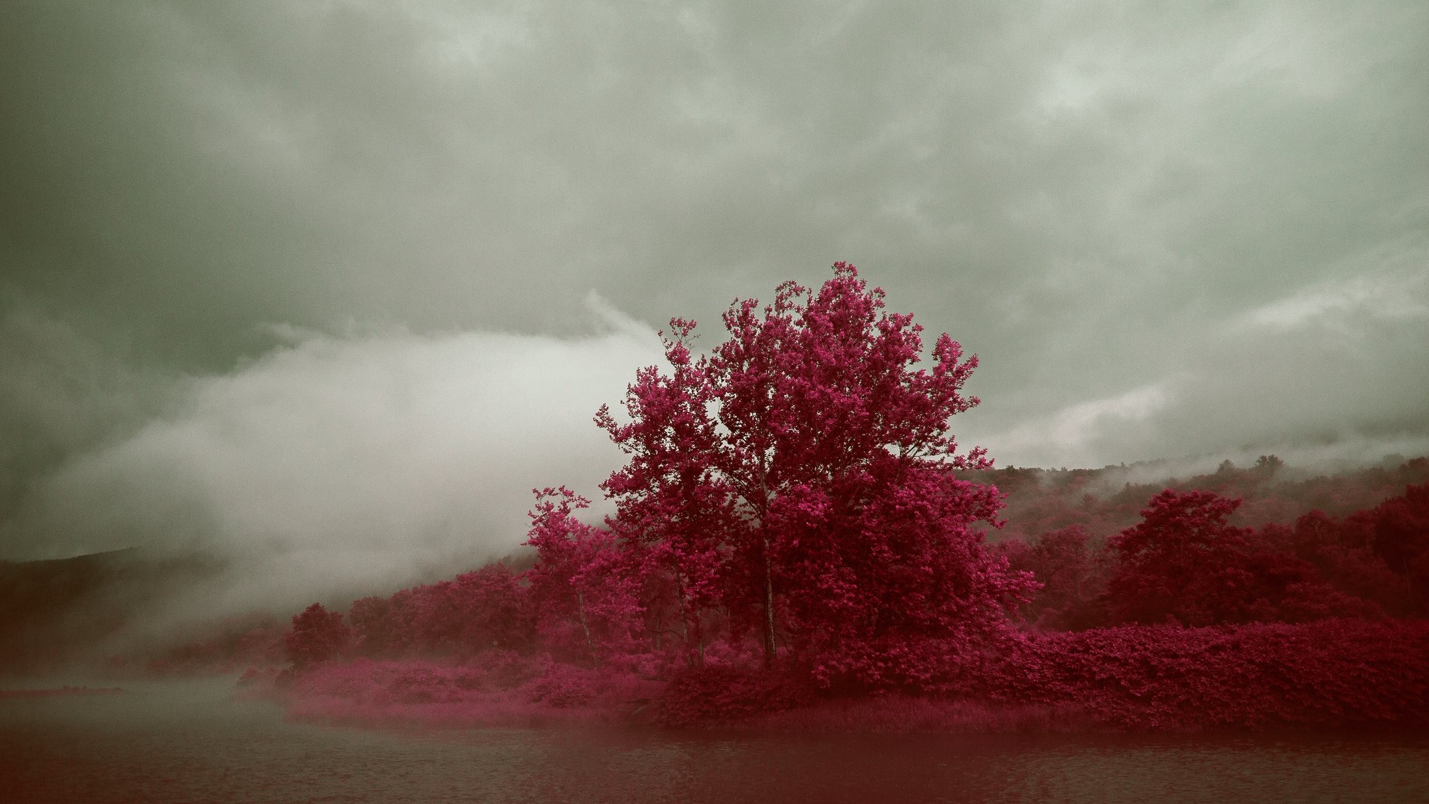 ciel nuages brouillard lac arbres automne