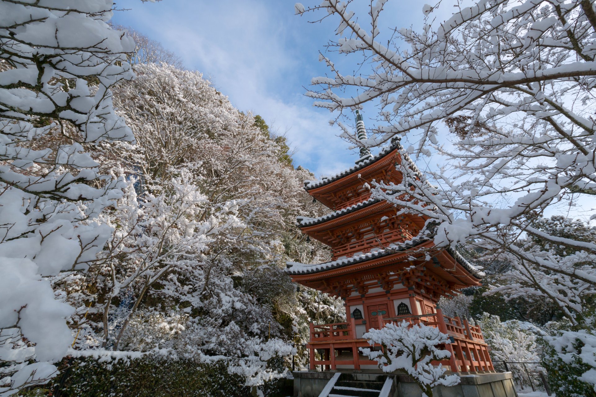 mimuroto-ji kyoto giappone kyoto tempio pagoda inverno neve alberi rami