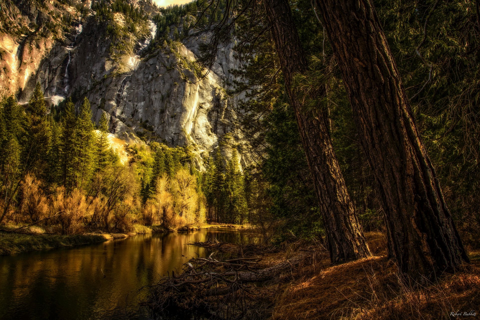 états-unis parc national de yosemite californie montagnes roches arbres eau traitement