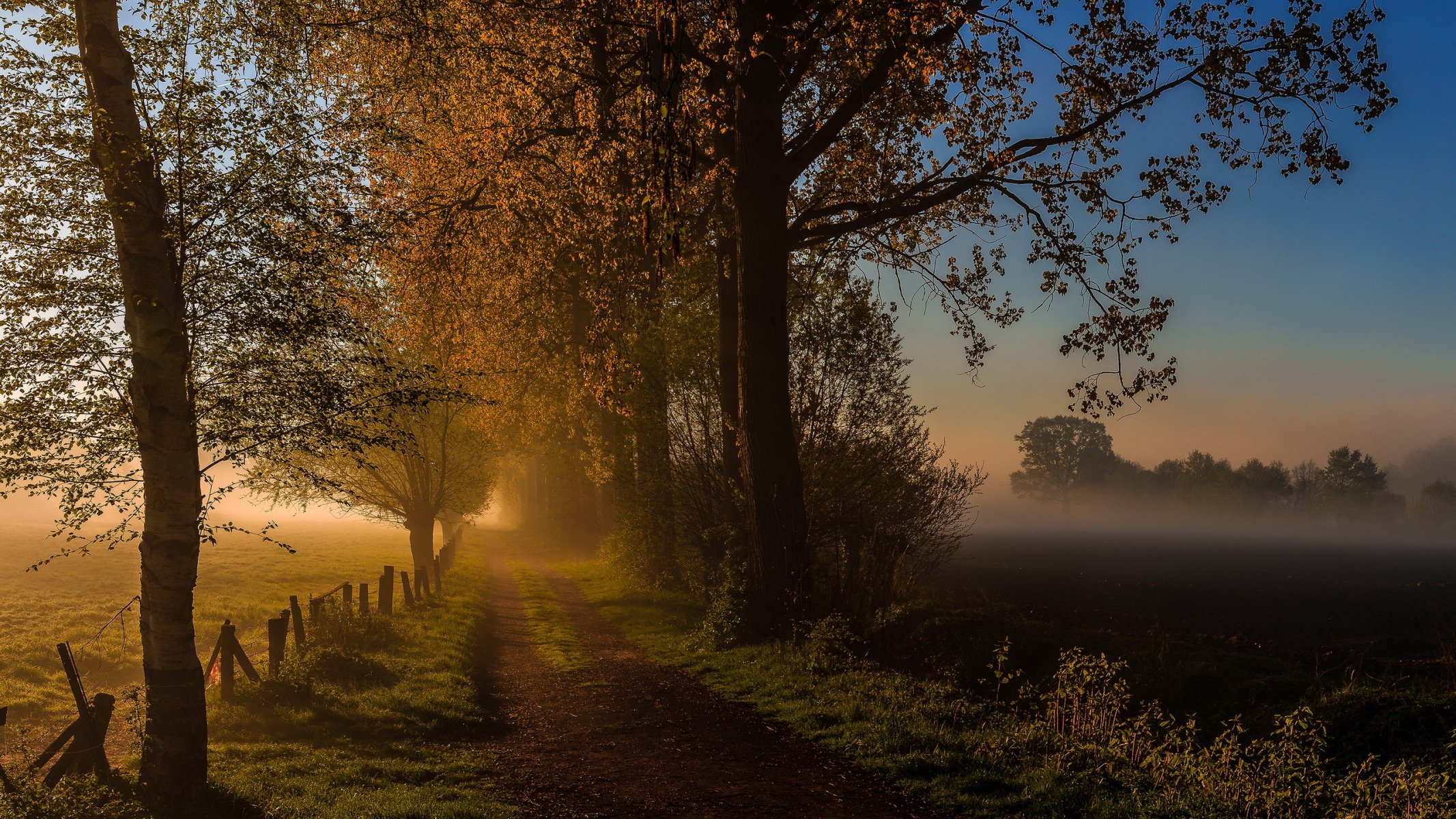 route matin brouillard automne