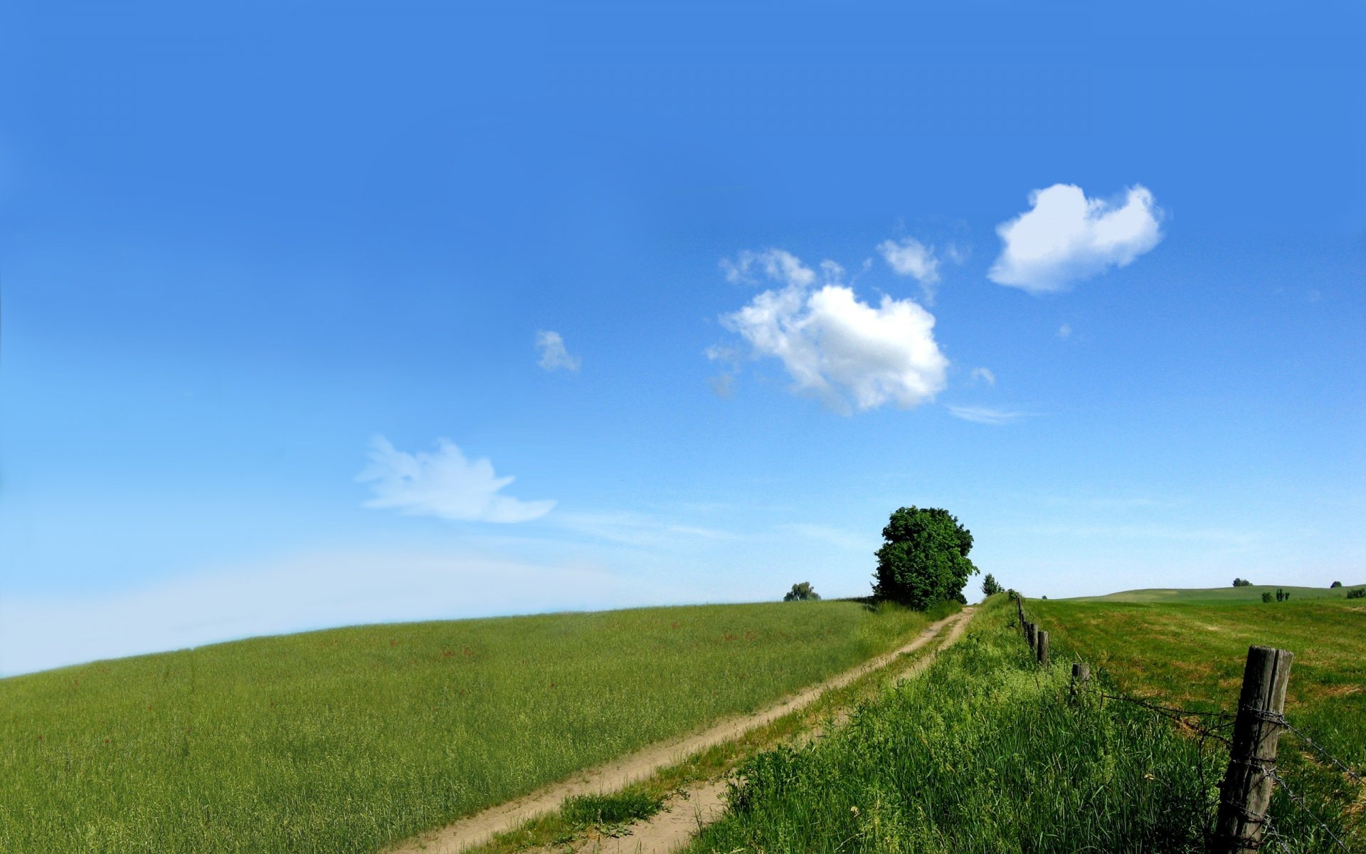 natura cielo campo verde strada