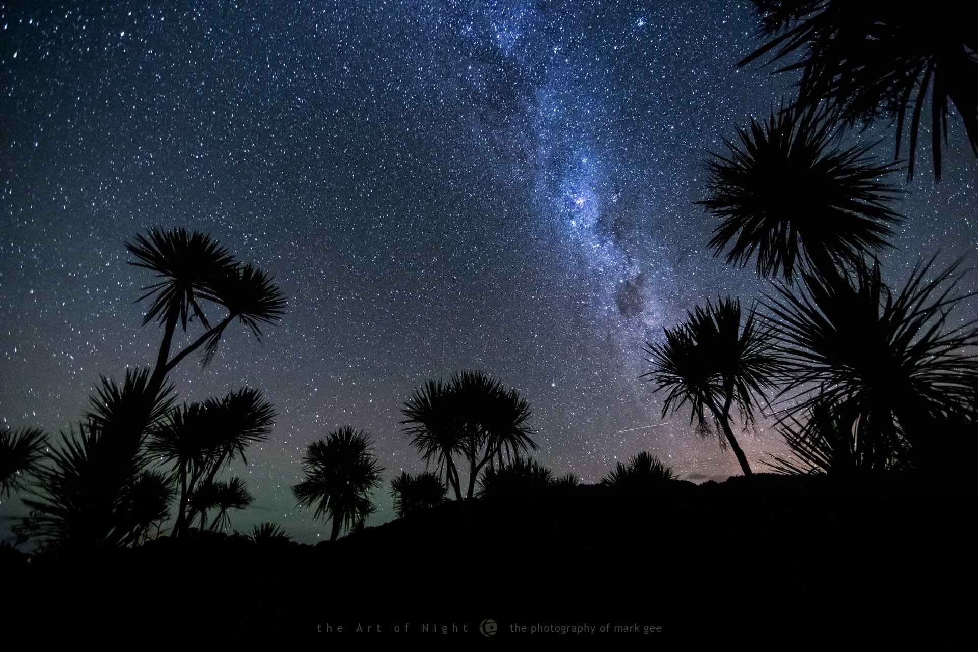 mark gee fotograf nacht palmen sterne himmel meteor