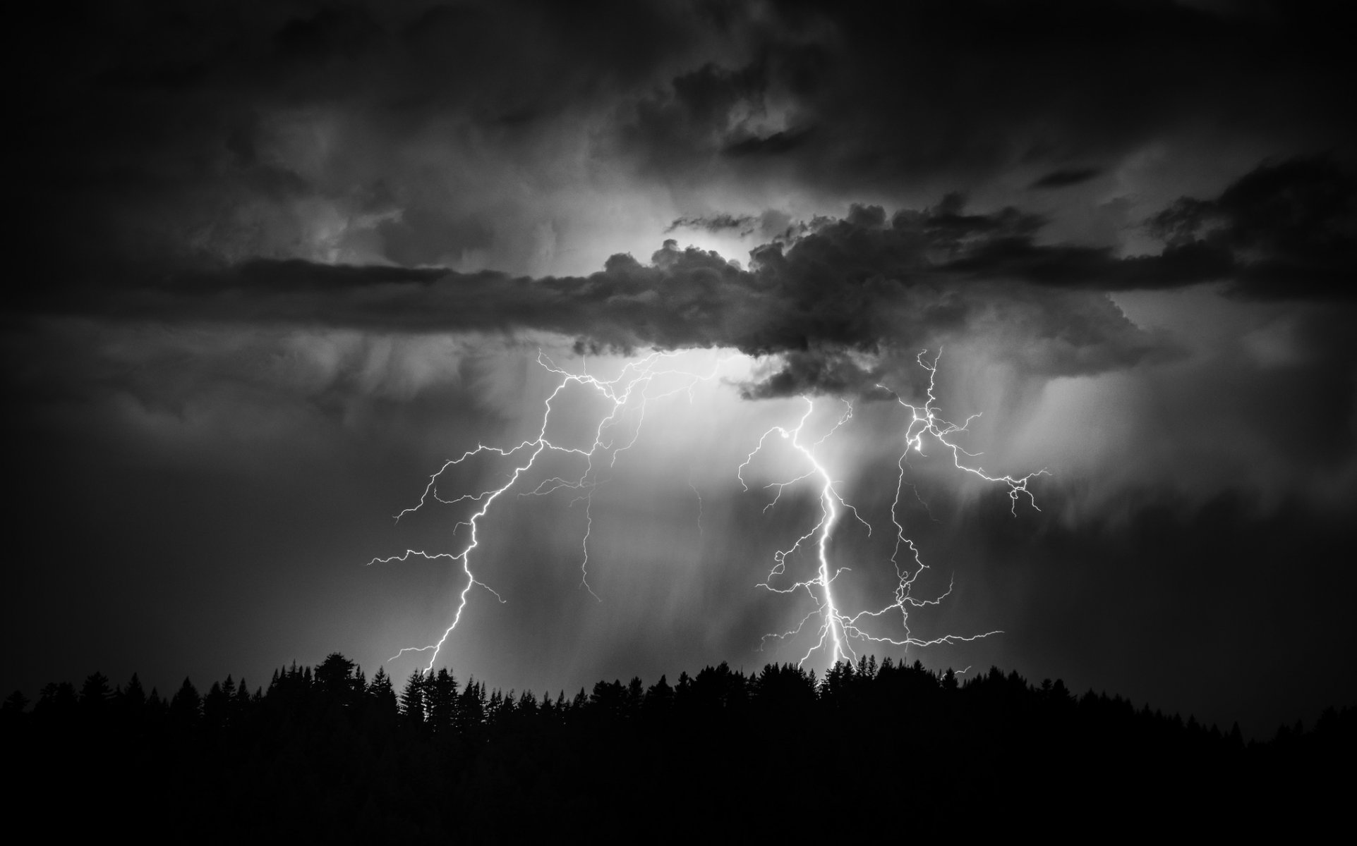 night sky clouds lightning forest