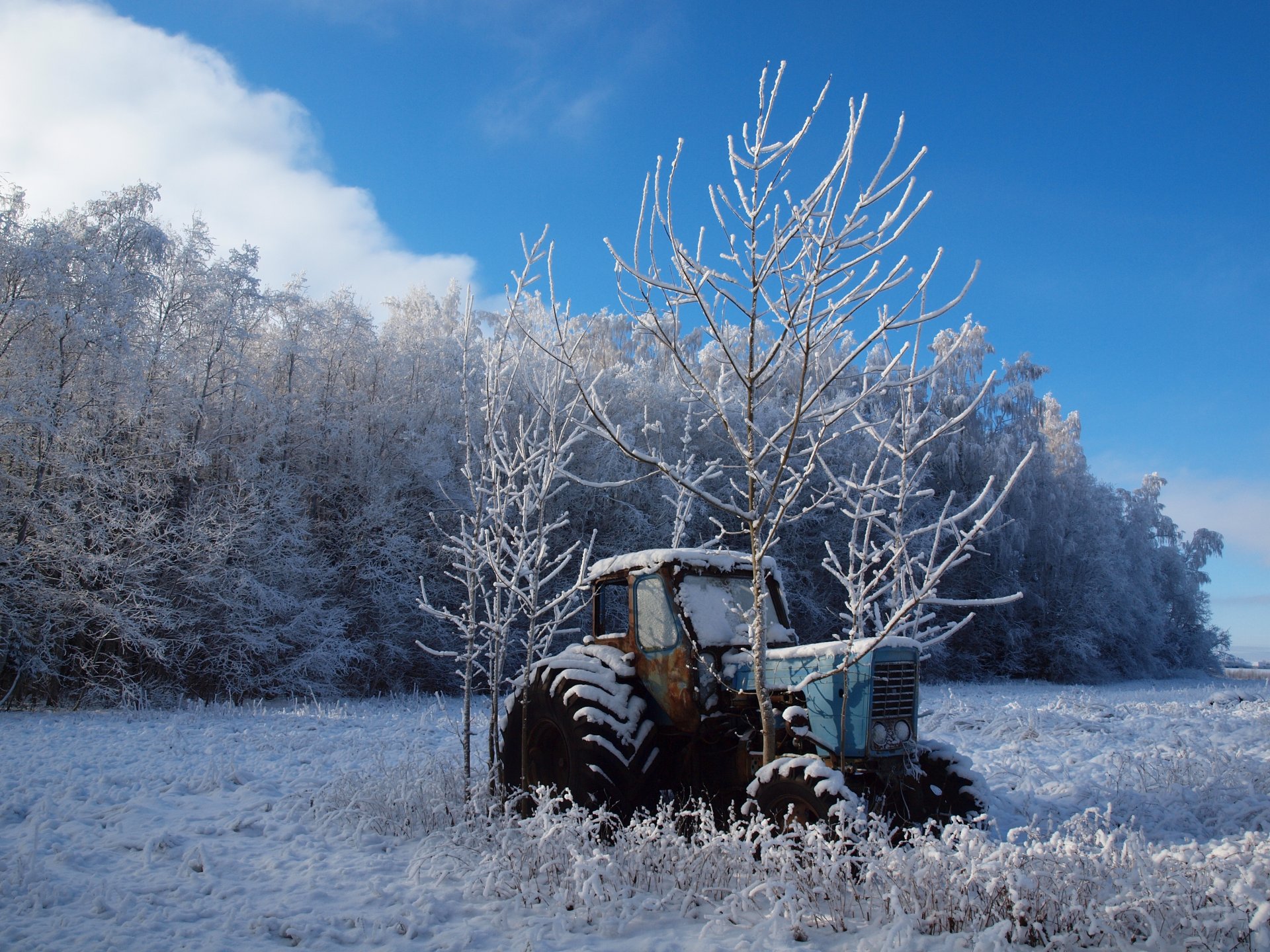 winter the field tree tractor landscape nature