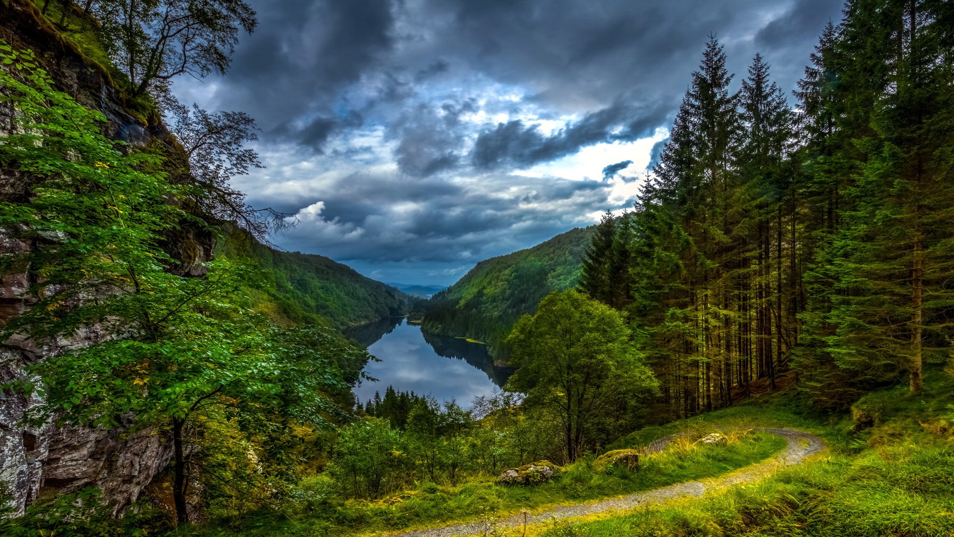 wald berge natur