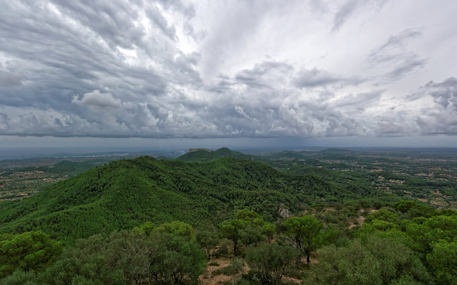 san salvador à majorque îles baléares espagne arbres forêt nature