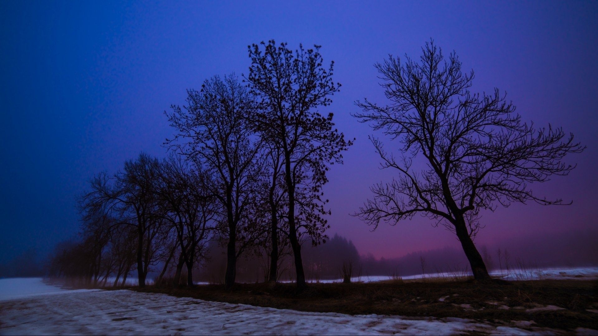 sera neve inverno alberi