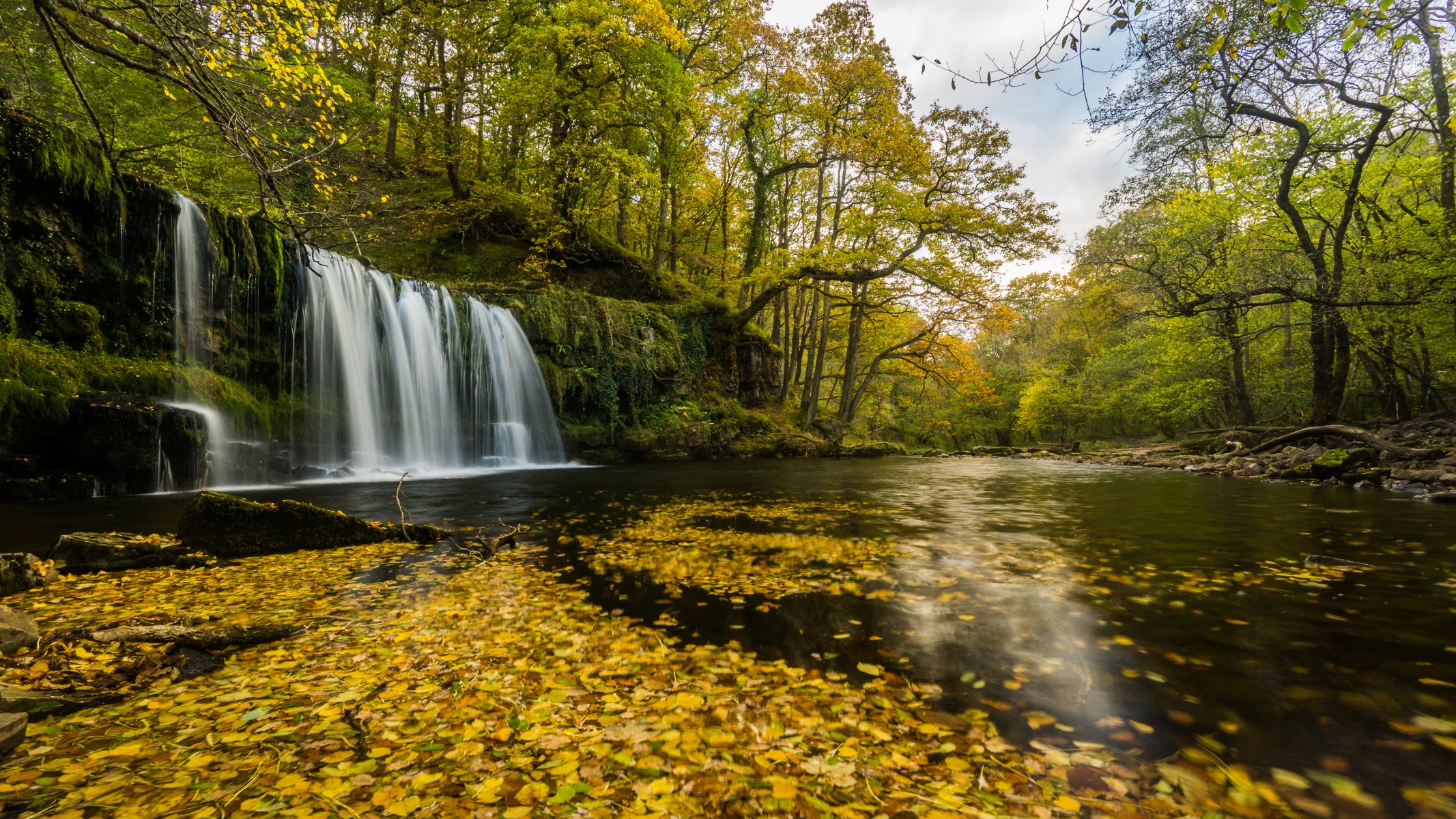 rivière cascade automne