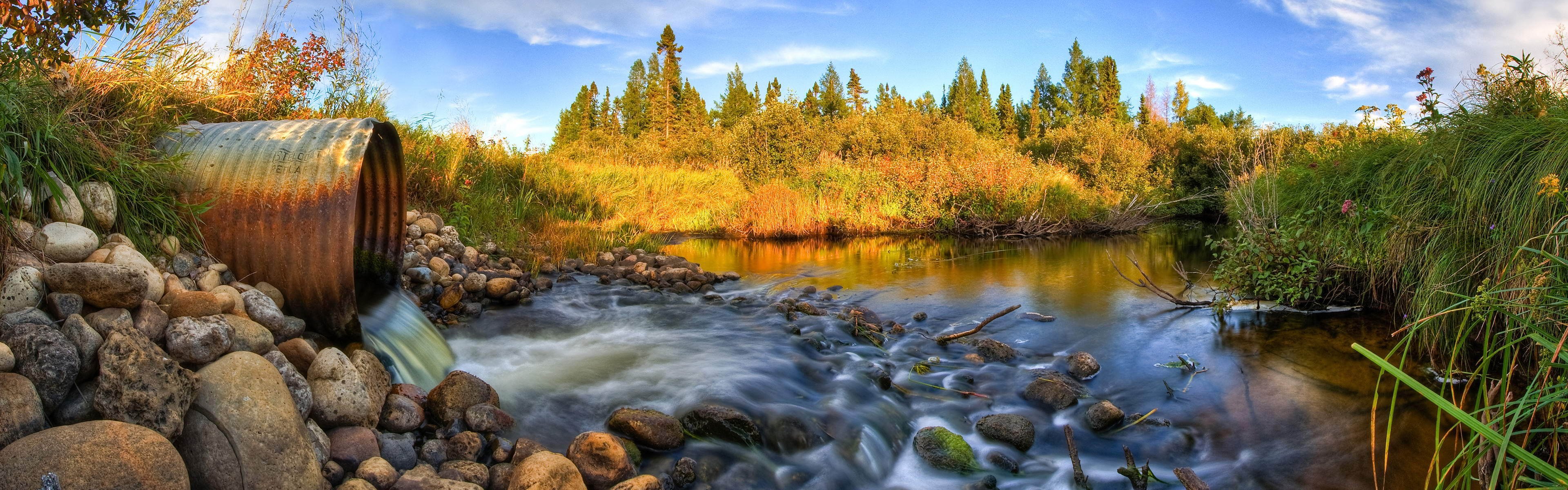 forest panorama river pipe plums stone