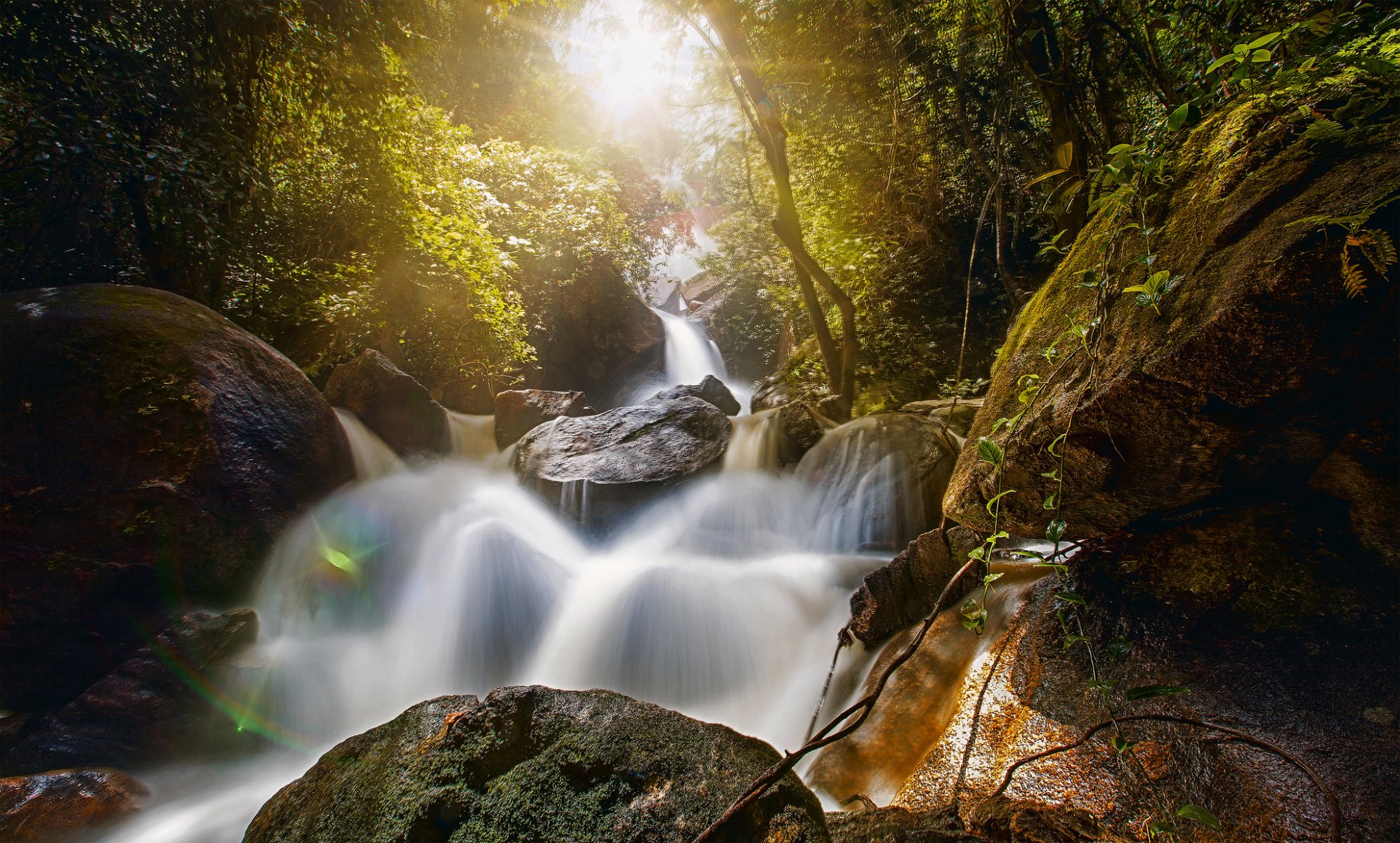 veil fall bonito pernambuco brazil bridlevale waterfall bridal veil waterfall bonito waterfall rocks boulders forest