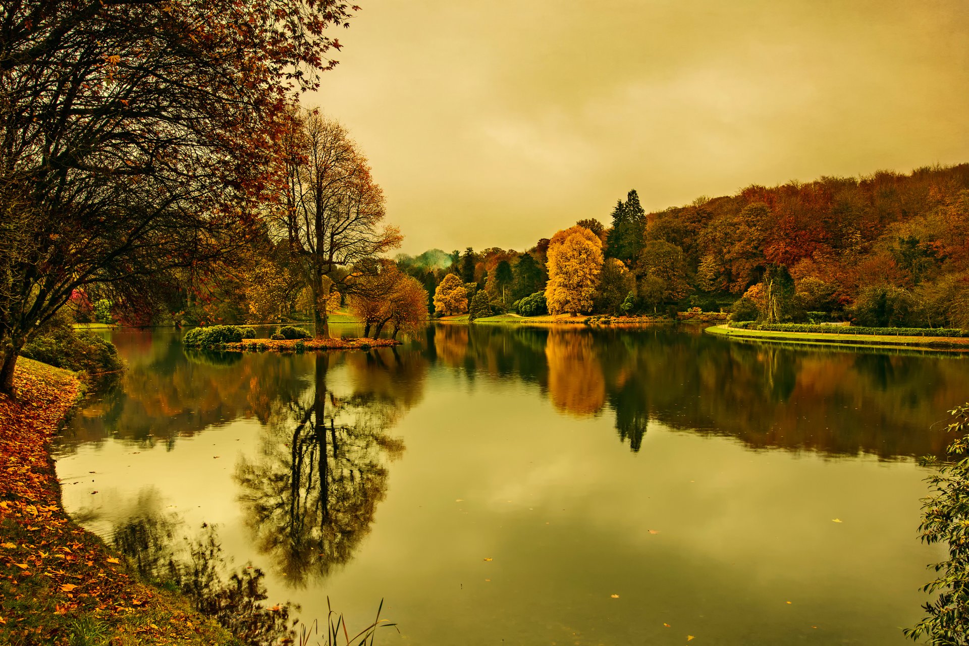 mentira a través de la lente otoño árboles