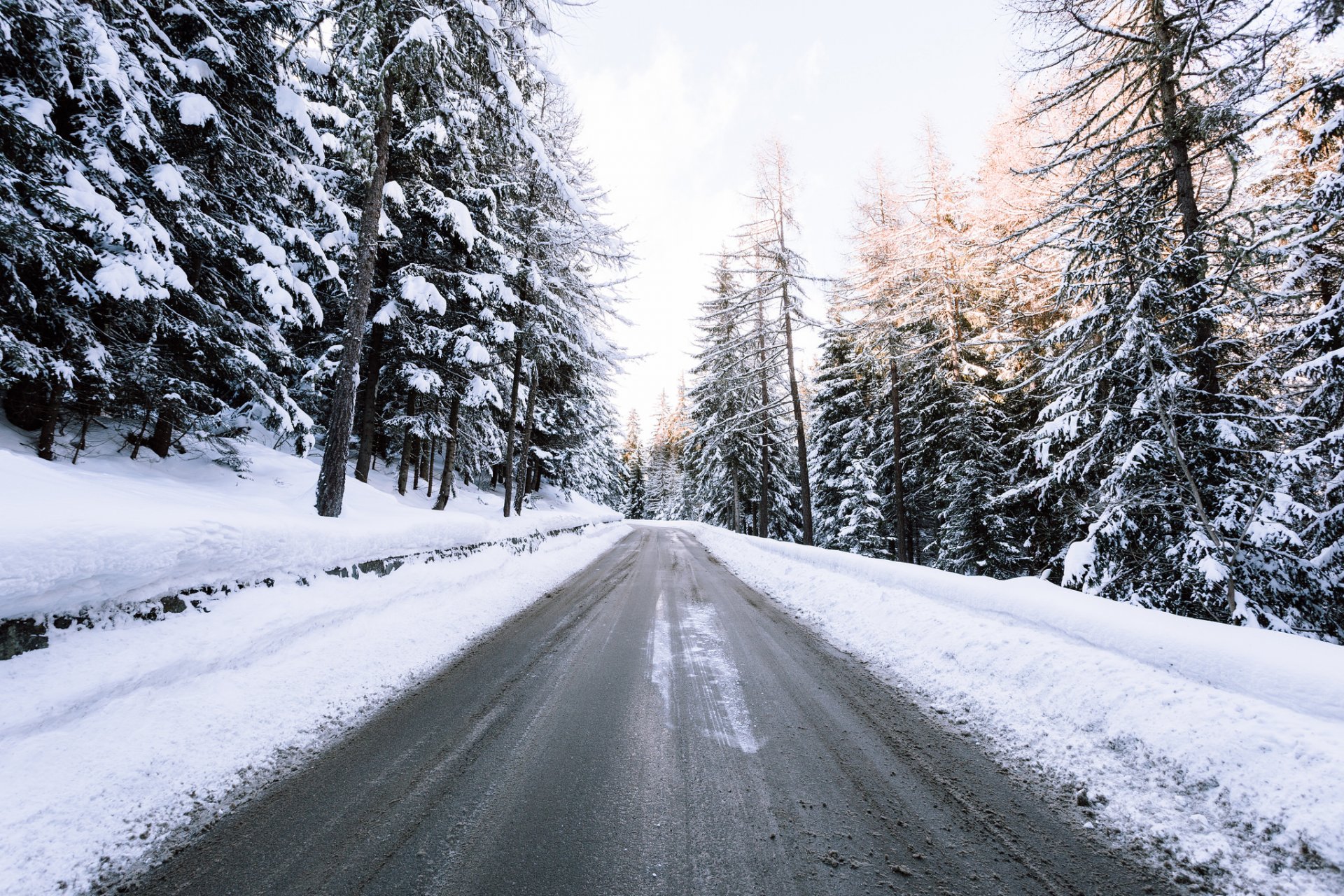 strada foresta inverno