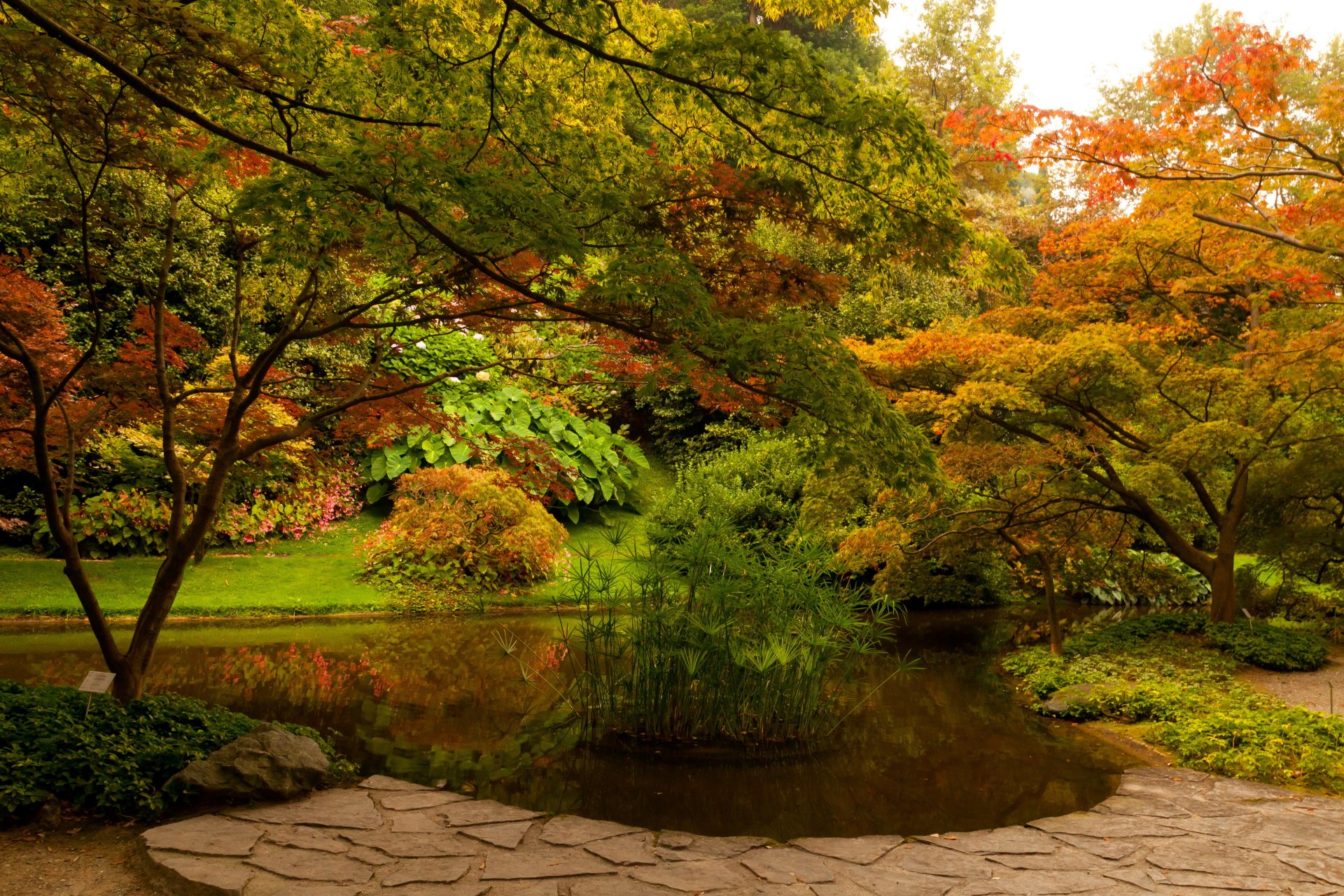 włochy park drzewa krzewy kwiaty bellagio