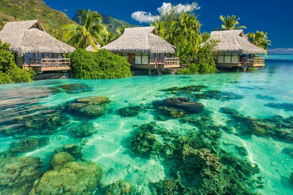 Rocks at the bottom of sea water and bungalows