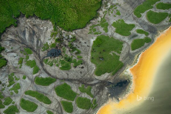 Стадо буйволов на водопое в Африке