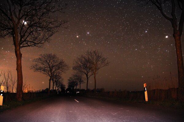 El camino nocturno y el cielo estrellado