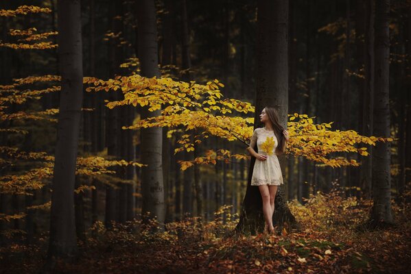 Hermosa chica de pie en el bosque de otoño