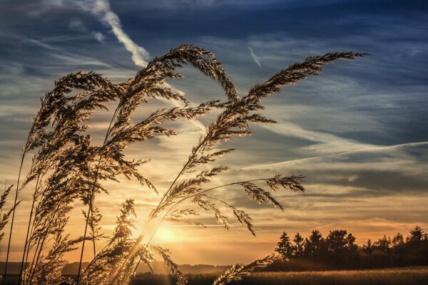 Beau coucher de soleil dans le ciel