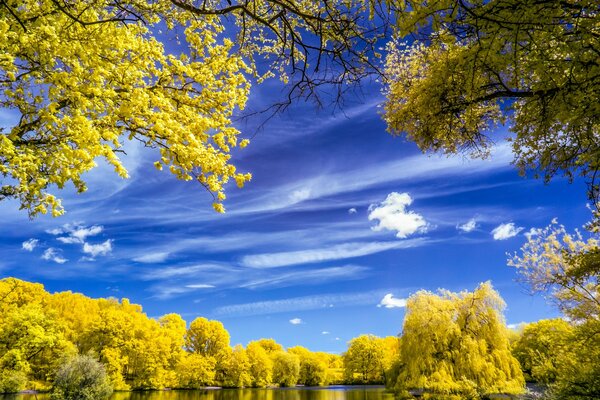 Otoño dorado en la naturaleza