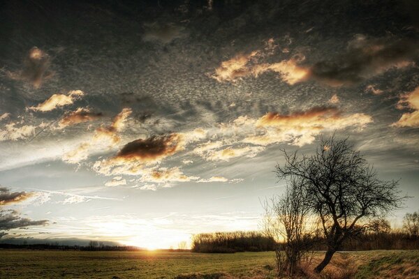 Sonnenaufgang in der Steppe