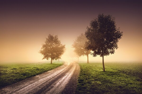 Foggy haze over the road in the morning