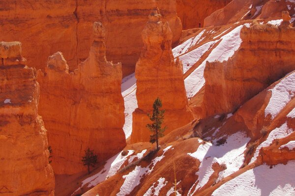 Скалы в снегу в национальном парке