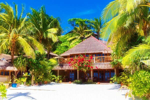 Casas en palmeras y flores en la playa y el cielo azul