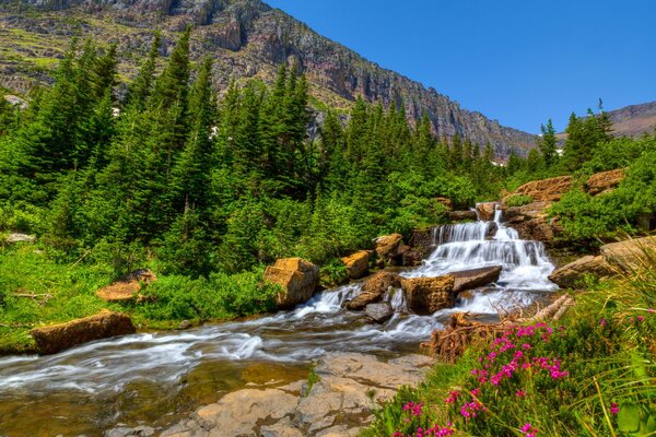 Cascade qui coule des montagnes sur les côtés de fleurs pittoresques