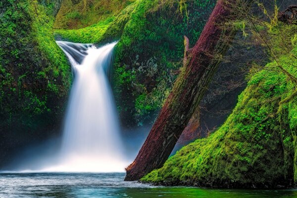 Cascada en la garganta del río y de repente musgo