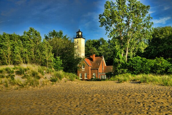 A lonely house among green trees