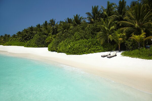 Paradiesstrand. Weißer Sand. Palme. Der Ozean