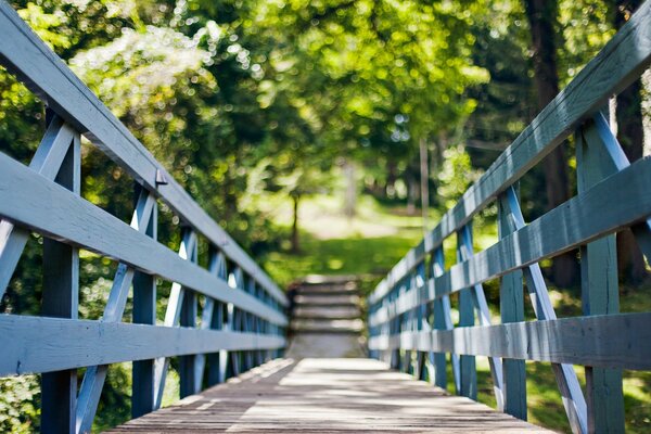 Brücke in die Natur, bester Sommertag