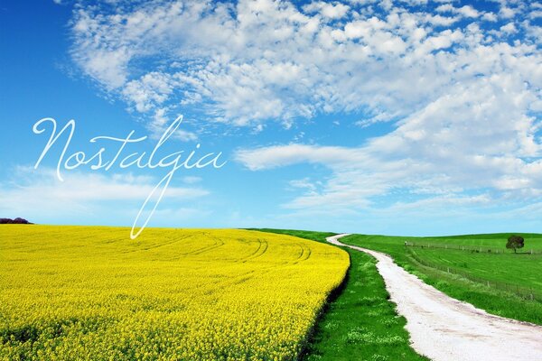 Strada vicino al campo e il cielo