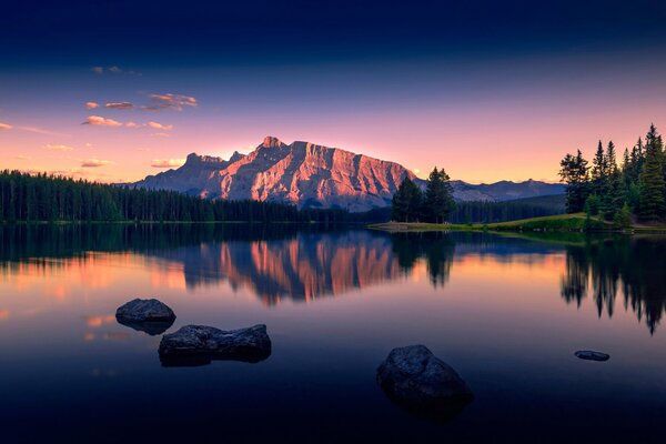 Landscape Forest Lake rock in the distance