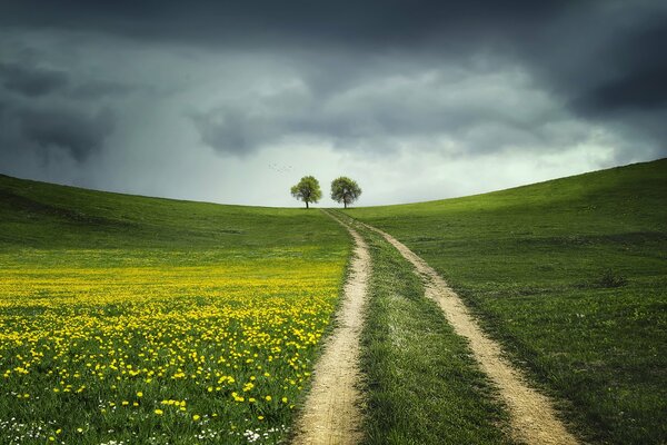 The road leading between two trees