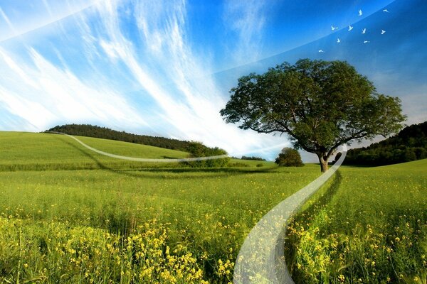 Sommerlichtung, schöne Landschaft, der Himmel ist Magie