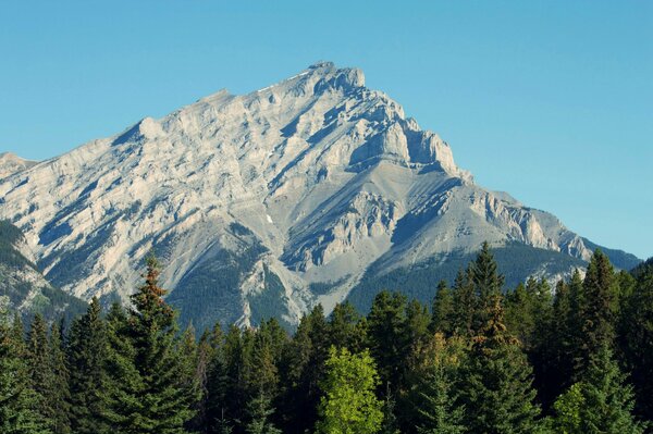 National Park near the mountains