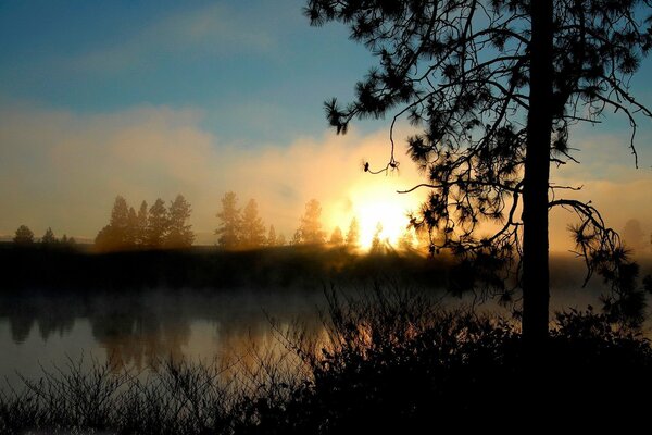 Aube brumeuse sur le lac de la forêt