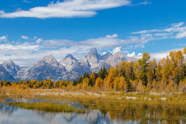 Paesaggio del Parco Nazionale del Wyoming negli Stati Uniti
