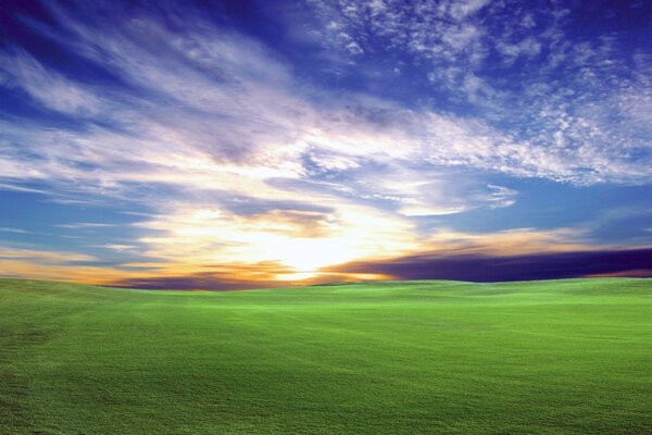 Piękne zielone pole, Zachód słońca i błękitne niebo