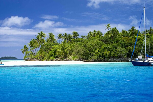 The yacht sails past the beach with palm trees