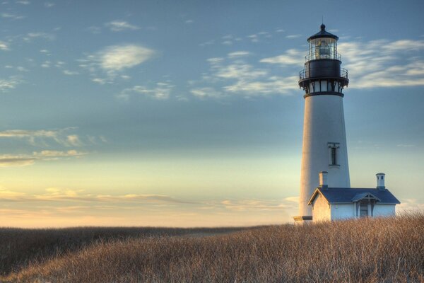 A lonely lighthouse in a wheat field