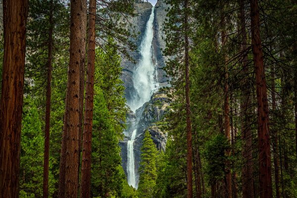 Cascade puissante sur fond de rochers et d arbres