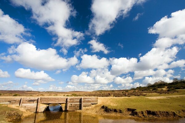 Landscape of a small place in the steppe