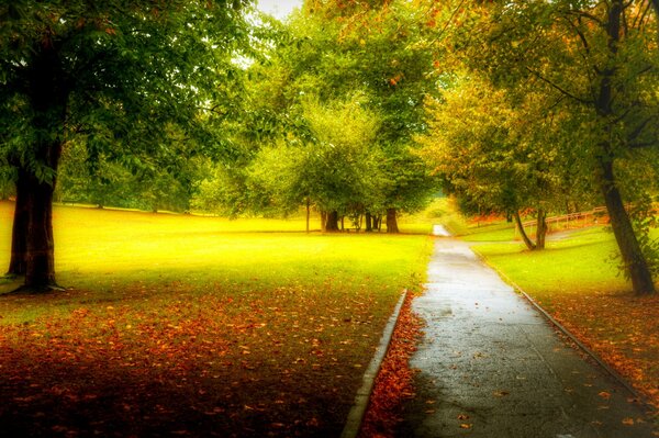 Camino del parque entre los árboles de otoño