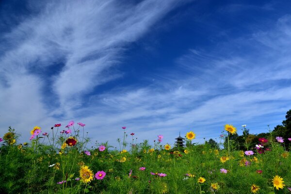 Ein Tempel inmitten leuchtender Blumen und Sonnenblumen